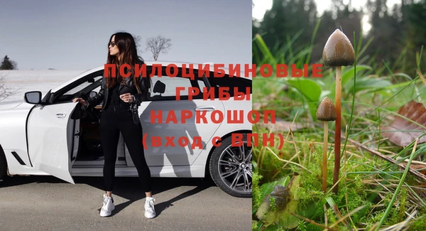 соль ск Нефтегорск