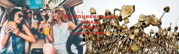соль ск Нефтегорск